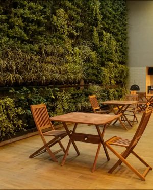 selection_imagens.087