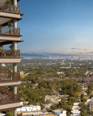 selection_imagens.220