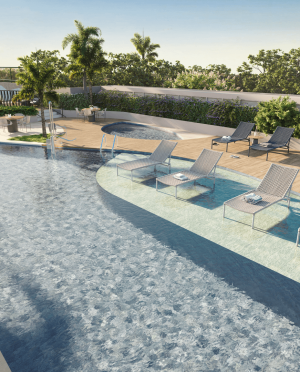 selection_imagens.224