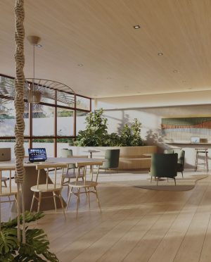 selection_imagens.229