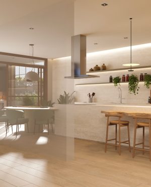 selection_imagens.230