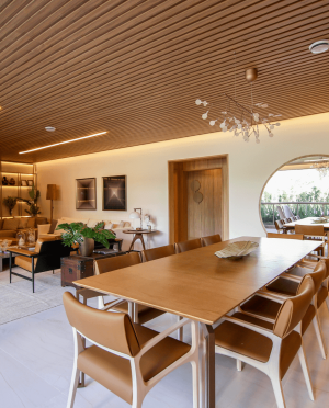 selection_imagens.240