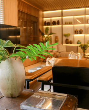 selection_imagens.259