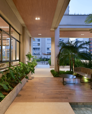 selection_imagens.268