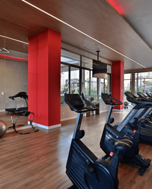 selection_imagens.269