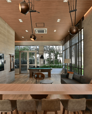 selection_imagens.272