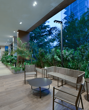 selection_imagens.278