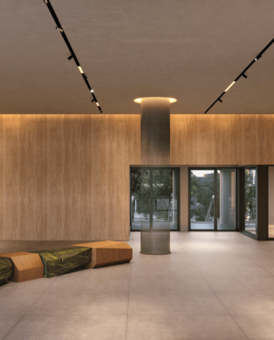 selection_imagens.312